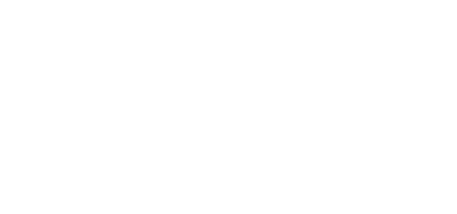 Project Never Broken
